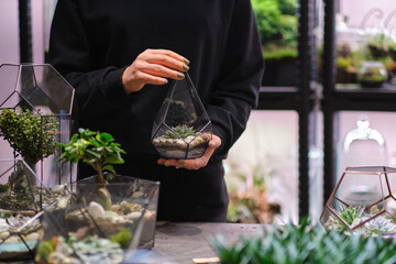 Woman holding glass geometric florarium vase with mini succulent garden and florarium vases at table. Professional florist concept. Colorful plants growing in glass geometric