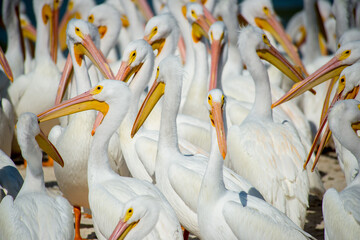 No social distancing here