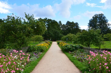 Obraz premium Sandy road with flowers in the park