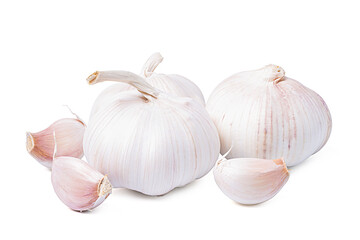 Garlic Isolated on white background
