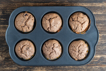Six chocolate muffins in baking tray