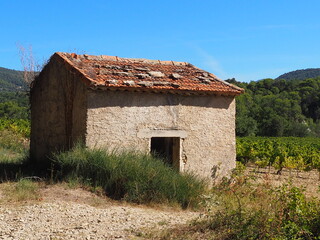 Vieux cabanon dans les vignes en Provence