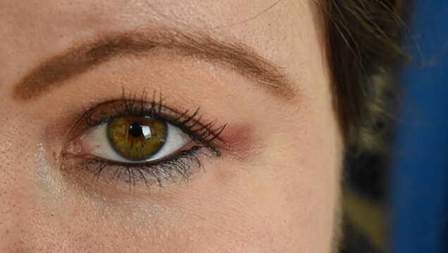 Macro of european women with brown eye. female brown eye