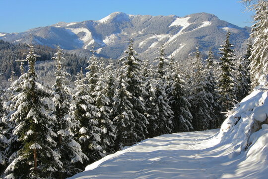 Winter landscape at Hockar in Lower Austria, Austria, Europe
