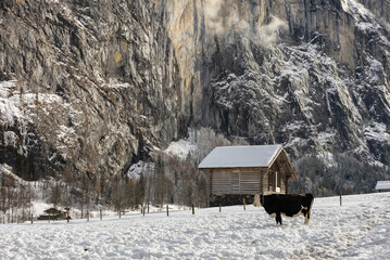 Lauterbrunnen village in the Interlaken Oberhasli district in the canton of Bern in Switzerland....