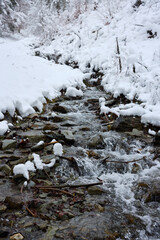 landscape with a mountain river in winter