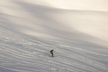 Freeride in fresh powder snow in alps. Swiss alps in Jungfrauregion in Switzerland