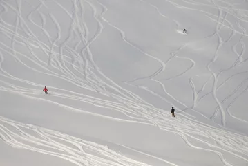 Fotobehang Freeride in fresh powder snow in alps. Swiss alps in Jungfrauregion in Switzerland © Chawran