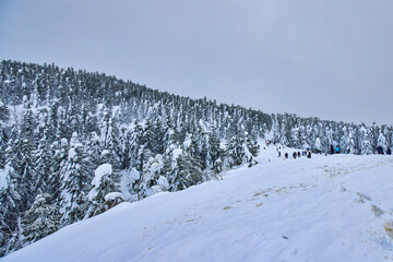 Fototapeta na wymiar beautiful mountain landscape in winter in the Carpathian mountains of Romania