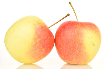 Two ripe organic, juicy, fragrant apples, close-up, on a white background.