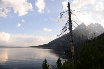 Obraz premium Leigh Lake at Grand Teton National Park