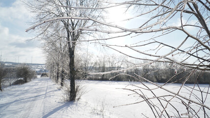 Cold frosty winter landscapes with trees and frozen branches during winter near Fulda, Germany.