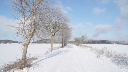 Fototapeta na wymiar Cold frosty winter landscapes with trees and frozen branches during winter near Fulda, Germany.
