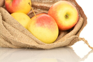 Several ripe organic, juicy, fragrant apples in a jute bag, close-up, on a white background.
