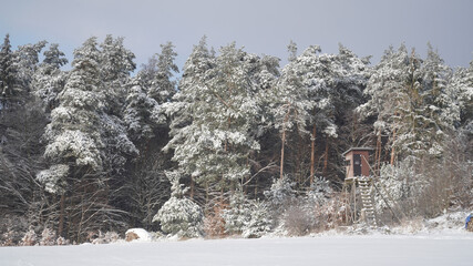 Cold frosty winter landscapes with trees and frozen branches during winter near Fulda, Germany.