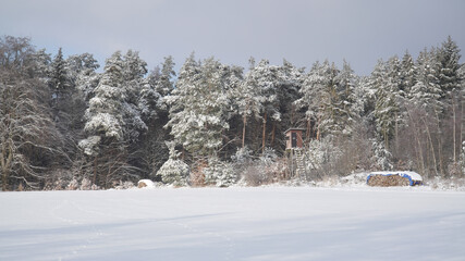 Cold frosty winter landscapes with trees and frozen branches during winter near Fulda, Germany.