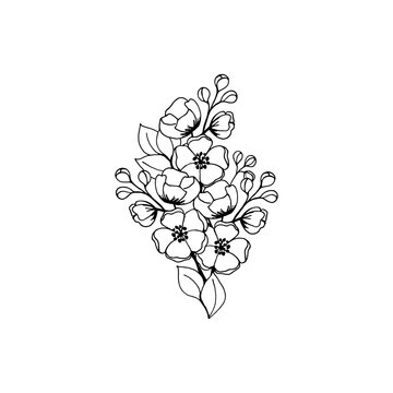 A bouquet of cherry flowers drawing by a black outline on a white background. Vector illustration for festive design.