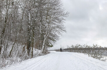 Cross country ski trails along Ottawa River with lone skier in distance snow covered trees dark...