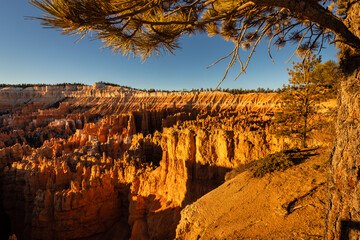 Red sandstone hoodoos and other rock formations under a blue sky in Bryce Canyon National Park, Utah