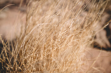 Nationalpark Timna - ISrael