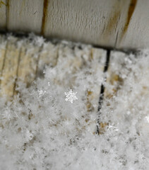 Close-up view of snowflakes in winter storm