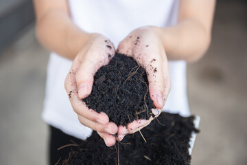 Little kid girl holding soil in hands with blurred background. growth concepts