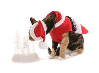 christmas cat with snowmen