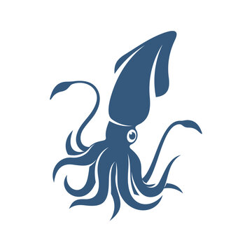 recommend clip art: Squid design vector illustration, Creative Squid logo template, icon symbol