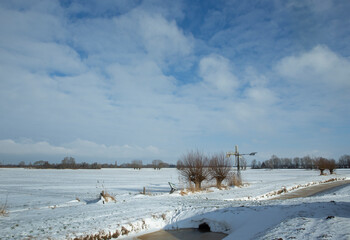 Winter in the polder. Snow, ice, frost. Pollard willow. Oeverlanden Hamingen Meppel Netherlands. Windmill.