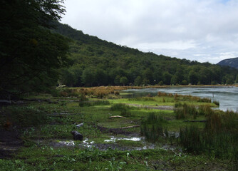 Fototapeta na wymiar Landscape of Tierra del Fuego National Park, Argentina 