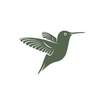 Hummingbird design vector illustration, Creative Hummingbird logo template, icon symbol