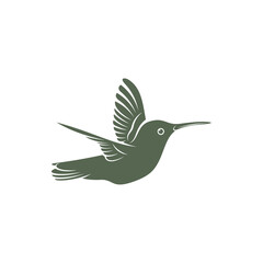 Hummingbird design vector illustration, Creative Hummingbird logo template, icon symbol