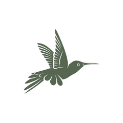 Hummingbird design vector illustration, Creative Hummingbird logo template, icon symbol