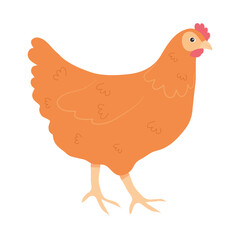 cartoon chicken icon, colorful design