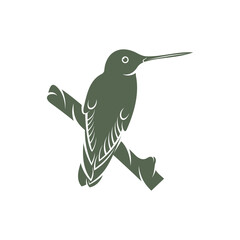 Hummingbird design vector illustration, Creative Hummingbird logo template, icon symbol