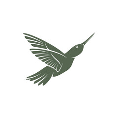 Hummingbird design vector illustration, Creative Hummingbird logo template, icon symbol