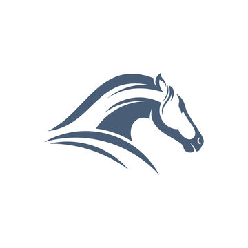 Horse design vector illustration, Creative horse logo template, icon symbol