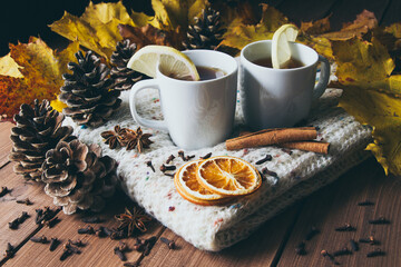Two cups of warming tea with lemon on a warm, cozy knitted winter scarf. Autumn composition with cinnamon sticks, star anise, cloves, cones and leaves in background.