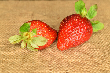 Two berries of bright red ripe organic delicious strawberries on jute fabric.
