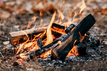 Campfire on vacation during a hike in the forest. Bred for cooking and for warming up