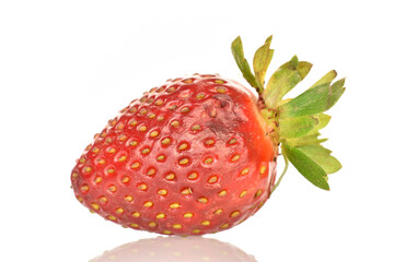 One bright red, ripe strawberry on a white background.