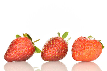 A few bright red whole ripe juicy organic strawberry berries. The background is white.