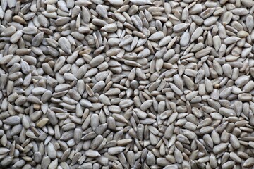 Photograph of peeled sunflower seeds.