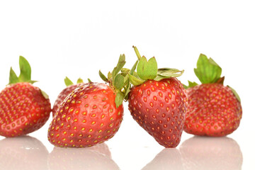A few bright red whole ripe juicy organic strawberry berries. The background is white.