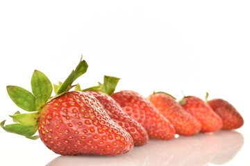A few bright red whole ripe juicy organic strawberry berries. The background is white.