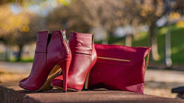 Conjunto de calzado y bolso, Accesorios de mujer. 