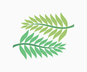 Two green palm leaves.