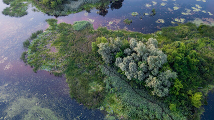 amazing spring (summer) landscape. aerial view of green  forest and blue river. drone shot