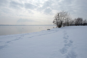 Schnee am Cospudener See