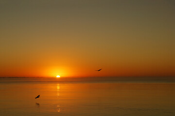 Fototapeta na wymiar sunset on the beach of the Caribbean Sea. Caribbean beach sunset